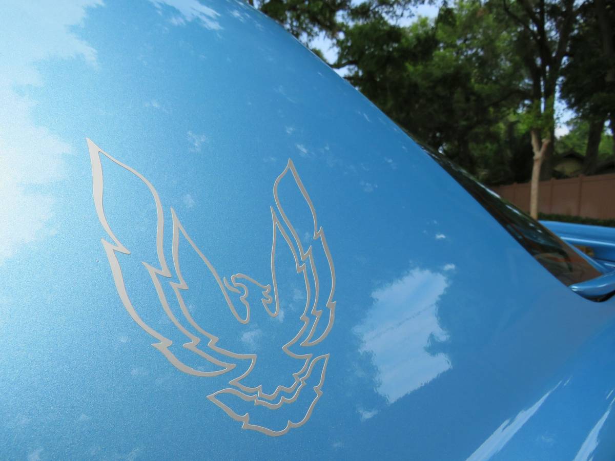 Pontiac-Firebird-1989-13