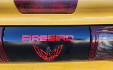 Pontiac-Firebird-1994-38