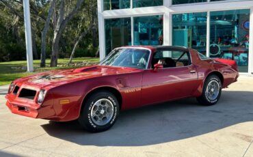 Pontiac-Firebird-Cabriolet-1976-10