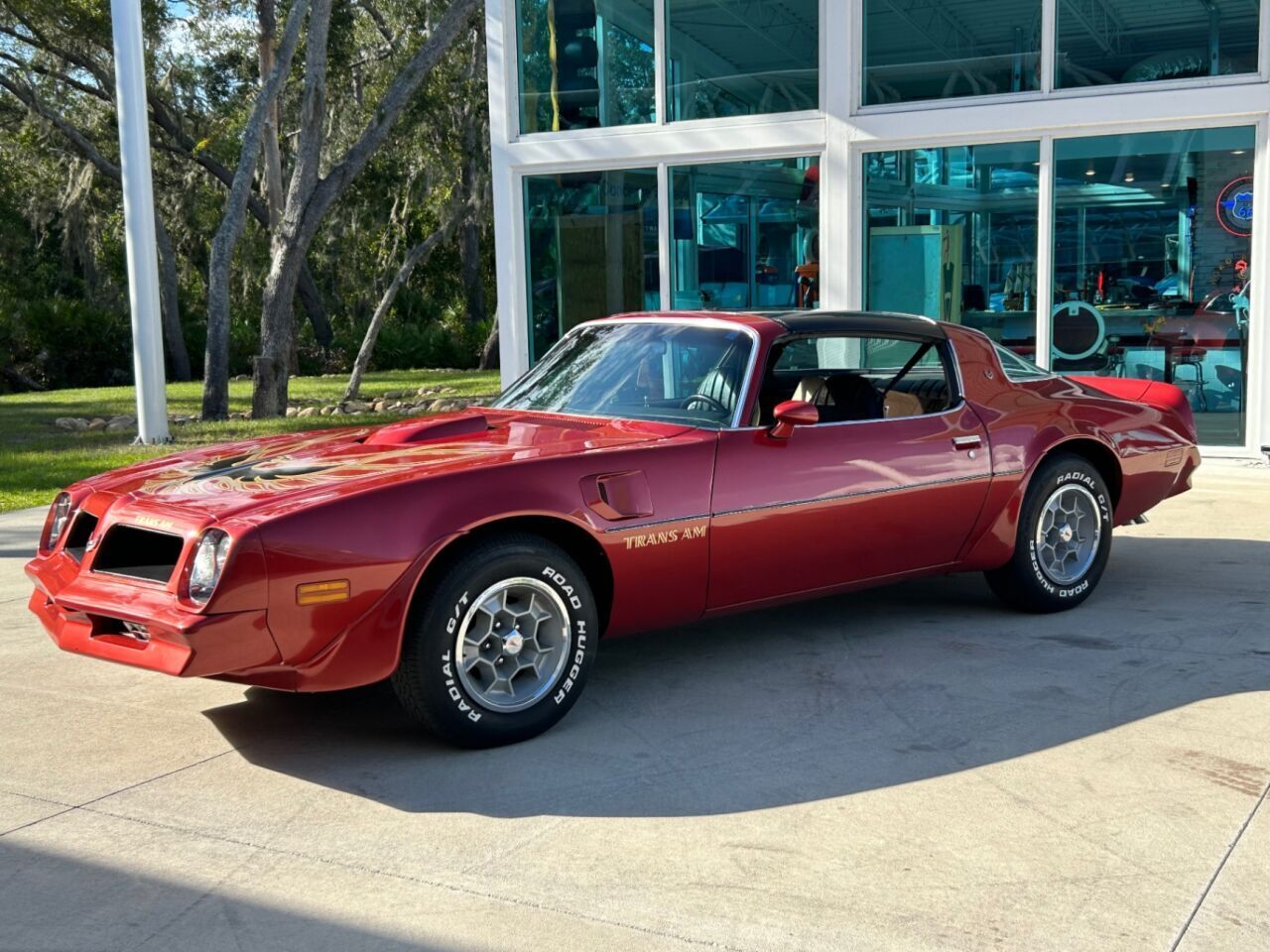 Pontiac-Firebird-Cabriolet-1976-10