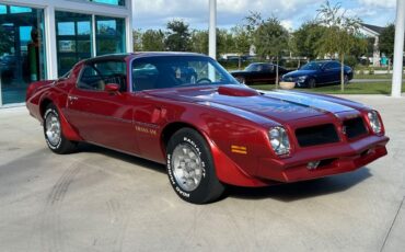 Pontiac-Firebird-Cabriolet-1976-2