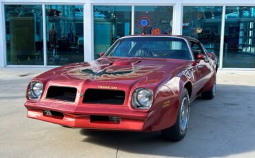 Pontiac Firebird Cabriolet 1976