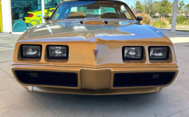 Pontiac-Firebird-Cabriolet-1979-1