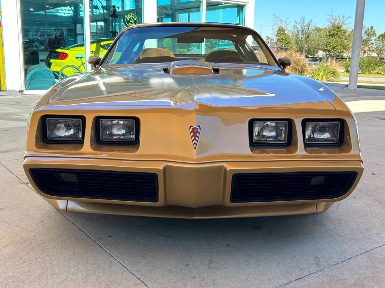 Pontiac-Firebird-Cabriolet-1979-1