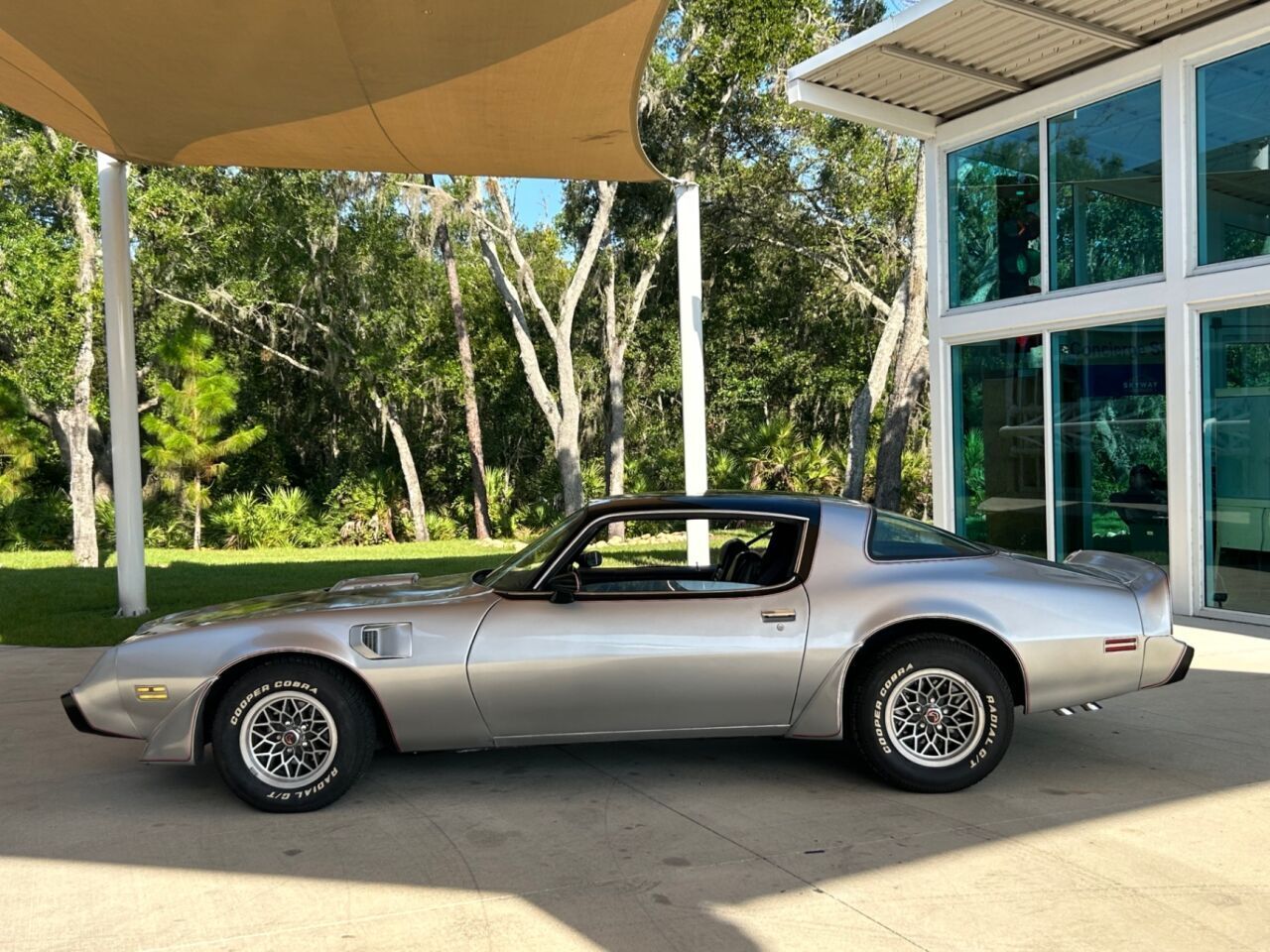 Pontiac-Firebird-Cabriolet-1979-10