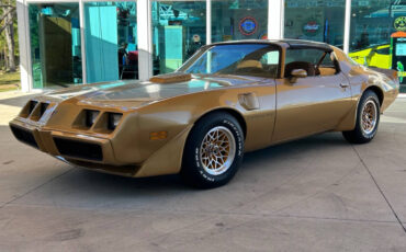 Pontiac-Firebird-Cabriolet-1979-11