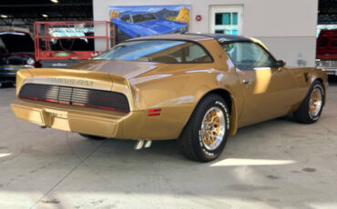 Pontiac-Firebird-Cabriolet-1979-4