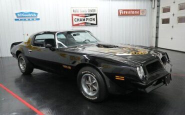 Pontiac-Firebird-Coupe-1976-19