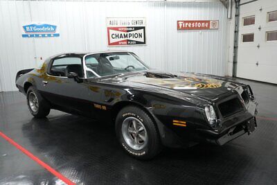 Pontiac-Firebird-Coupe-1976-19