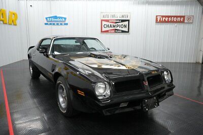 Pontiac-Firebird-Coupe-1976-21