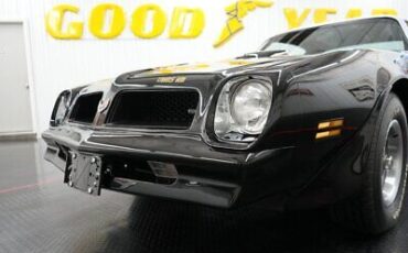 Pontiac-Firebird-Coupe-1976-30