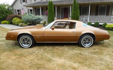 Pontiac-Firebird-Coupe-1977-1