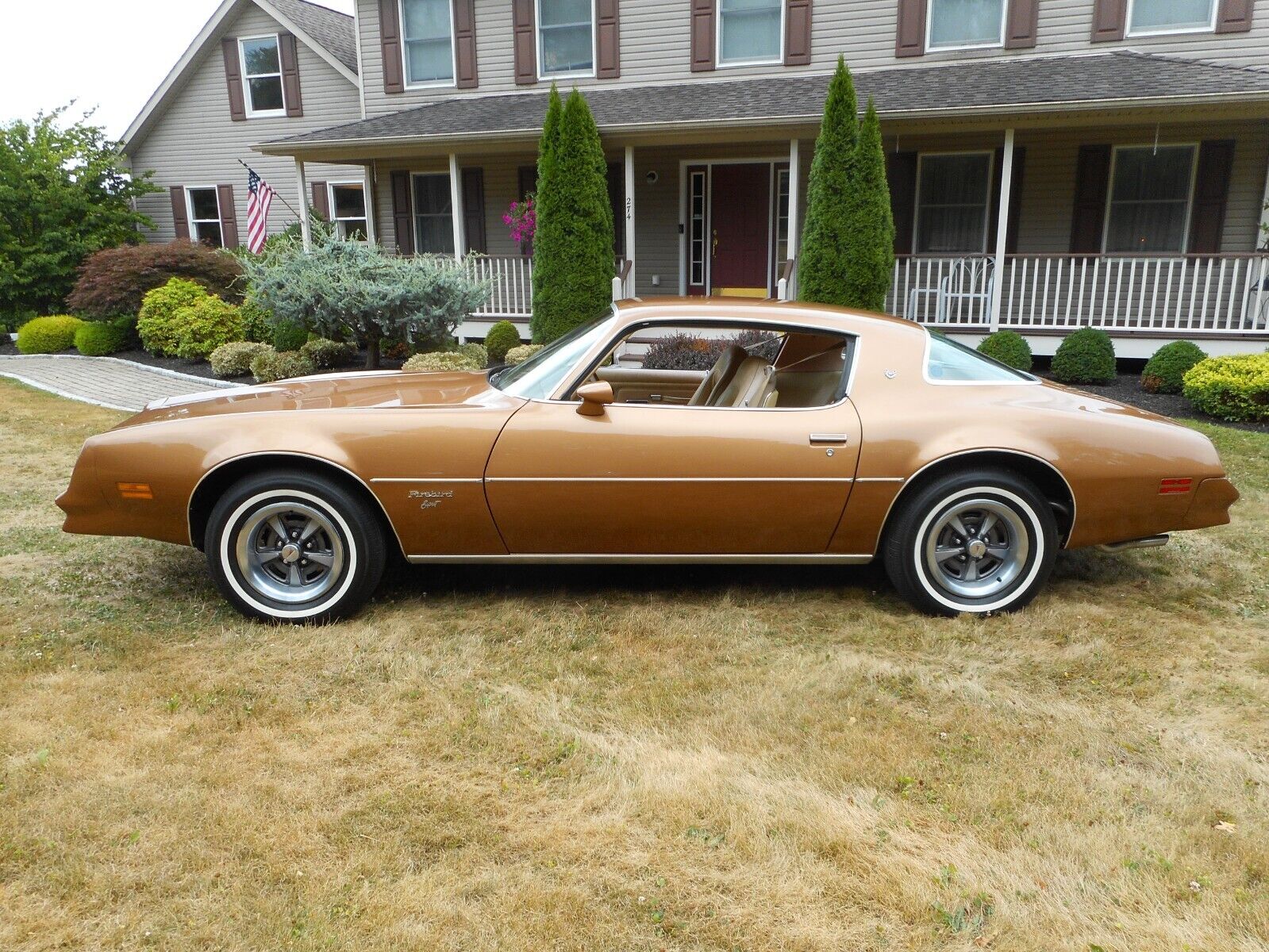 Pontiac-Firebird-Coupe-1977-1