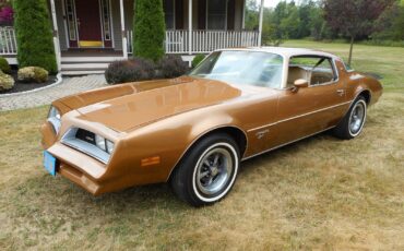 Pontiac Firebird Coupe 1977