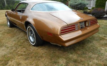 Pontiac-Firebird-Coupe-1977-2