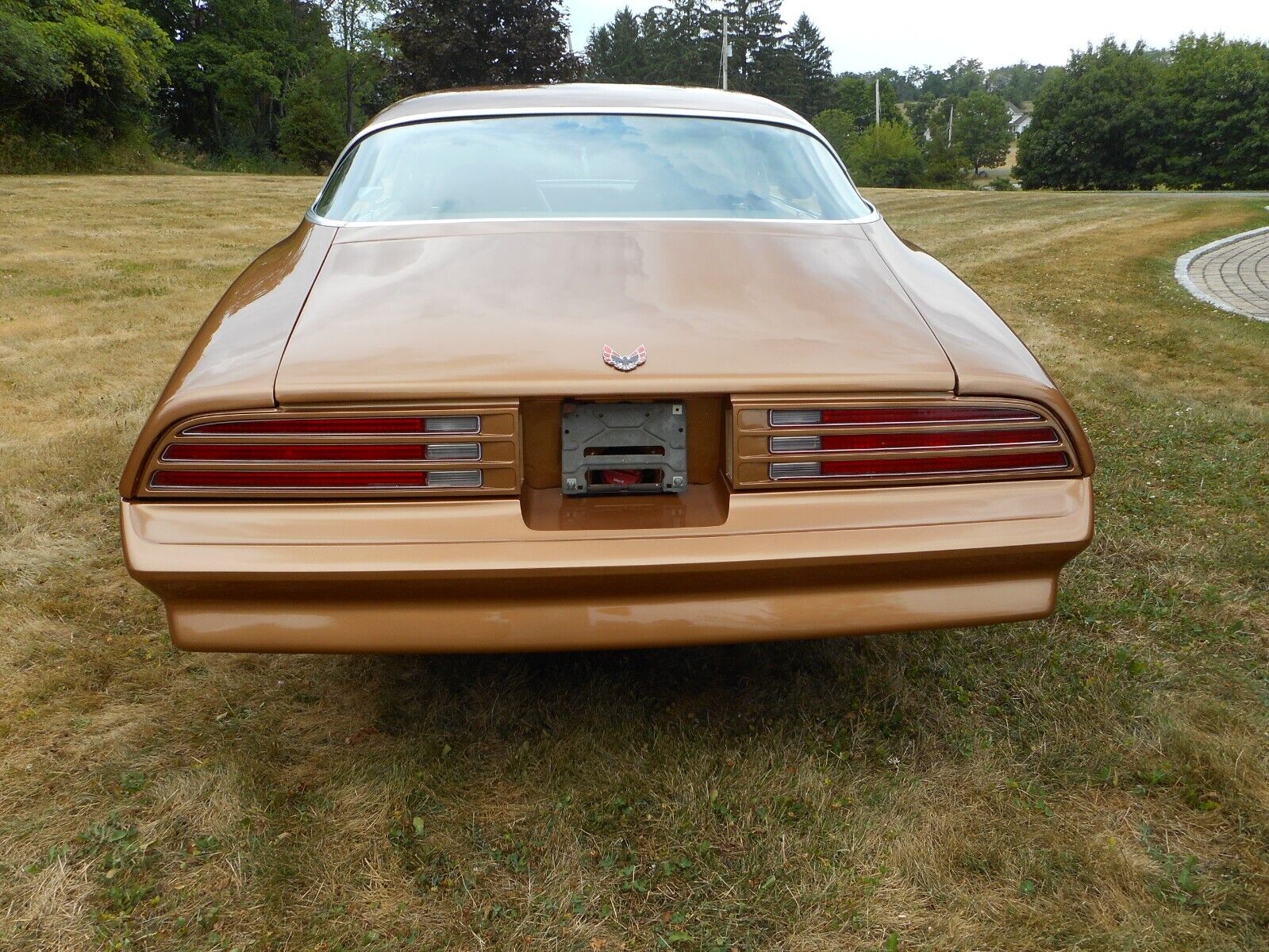 Pontiac-Firebird-Coupe-1977-3