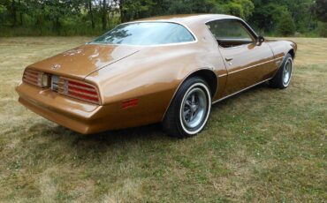 Pontiac-Firebird-Coupe-1977-4