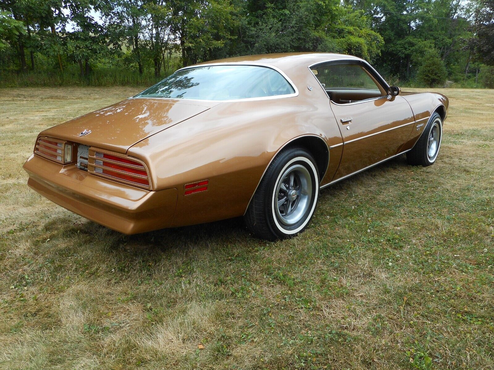 Pontiac-Firebird-Coupe-1977-4