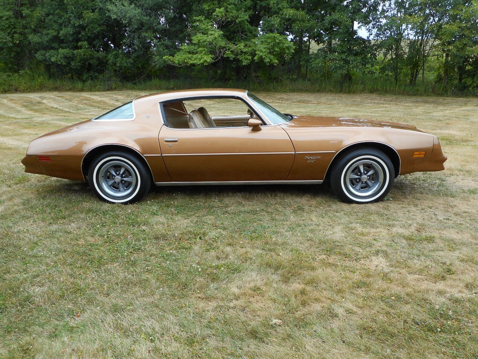 Pontiac-Firebird-Coupe-1977-5