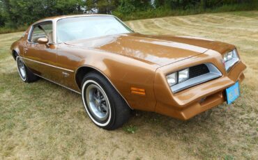 Pontiac-Firebird-Coupe-1977-6