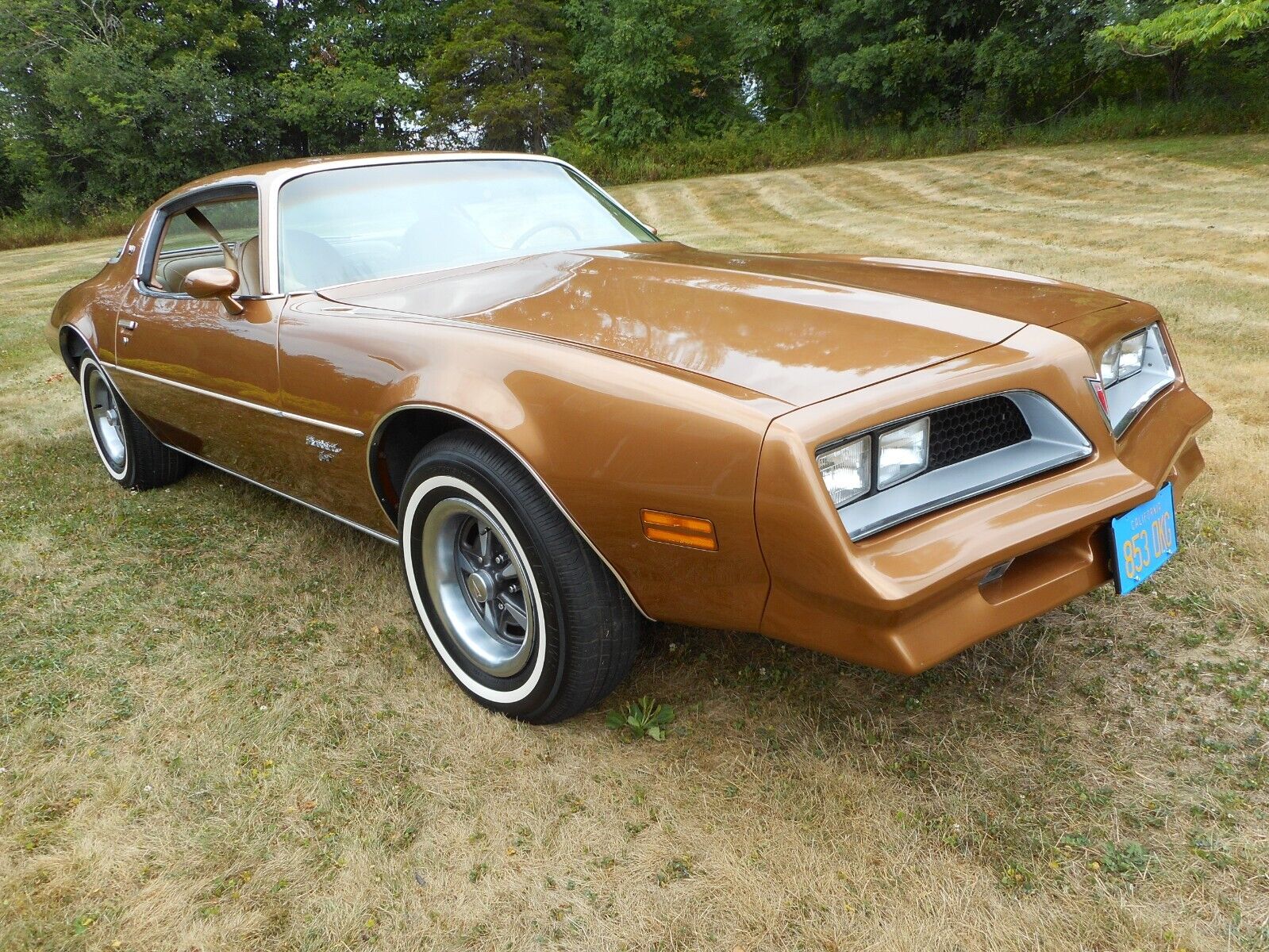 Pontiac-Firebird-Coupe-1977-6