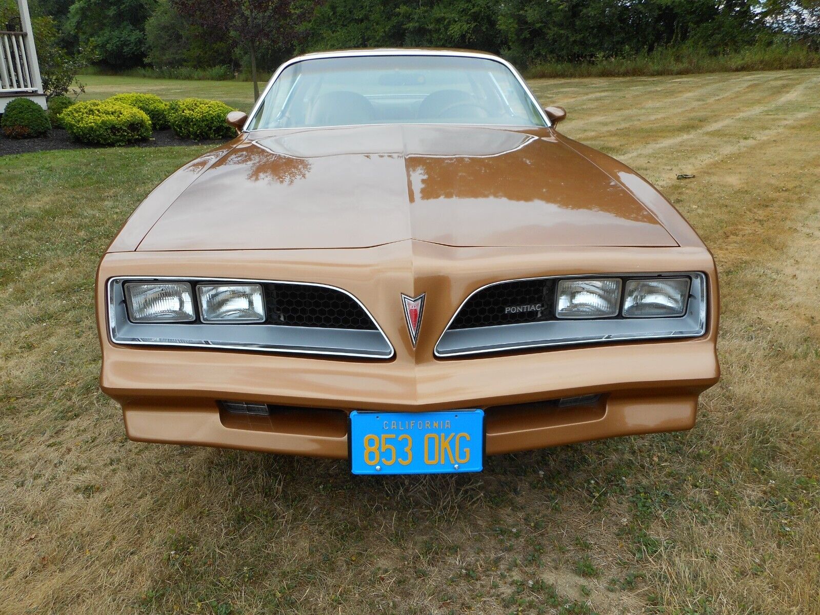 Pontiac-Firebird-Coupe-1977-7