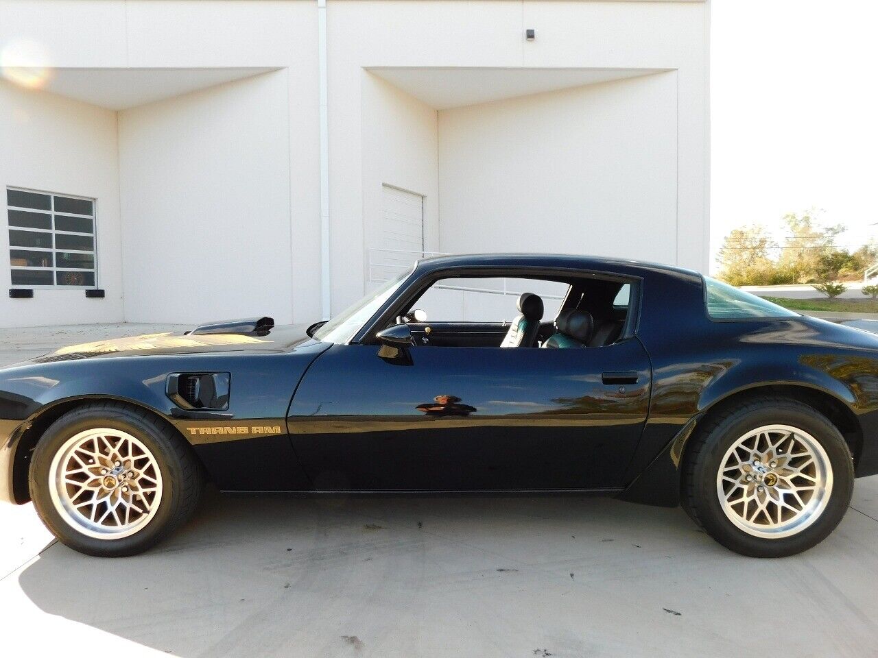 Pontiac-Firebird-Coupe-1979-6