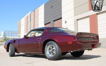 Pontiac-Firebird-Coupe-1980-4