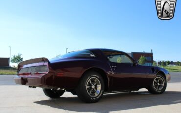 Pontiac-Firebird-Coupe-1980-6