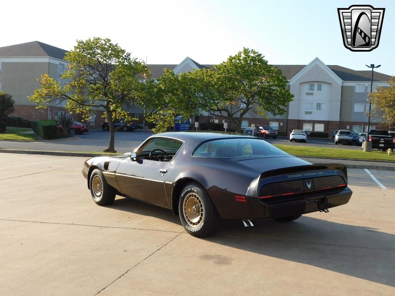 Pontiac-Firebird-Coupe-1981-4