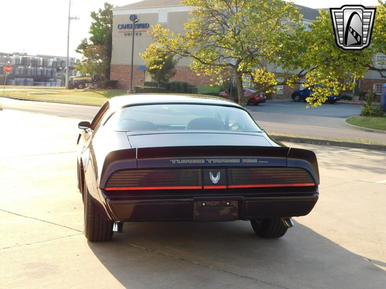 Pontiac-Firebird-Coupe-1981-5