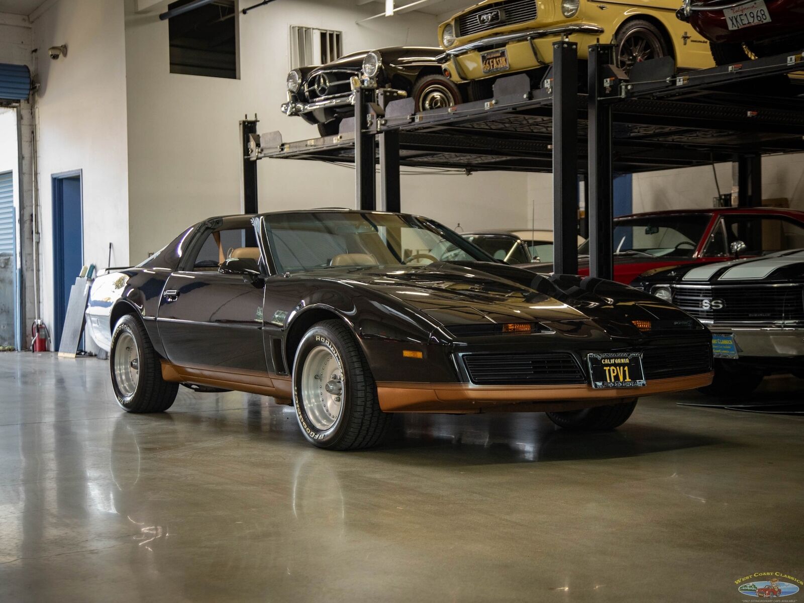 Pontiac-Firebird-Coupe-1982-9