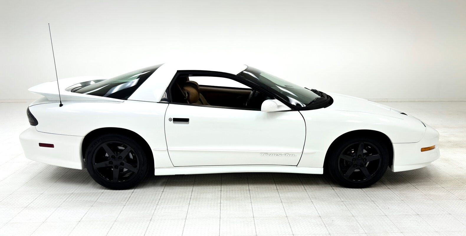 Pontiac-Firebird-Coupe-1994-5