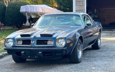 Pontiac-Firebird-formula-350-1975-19