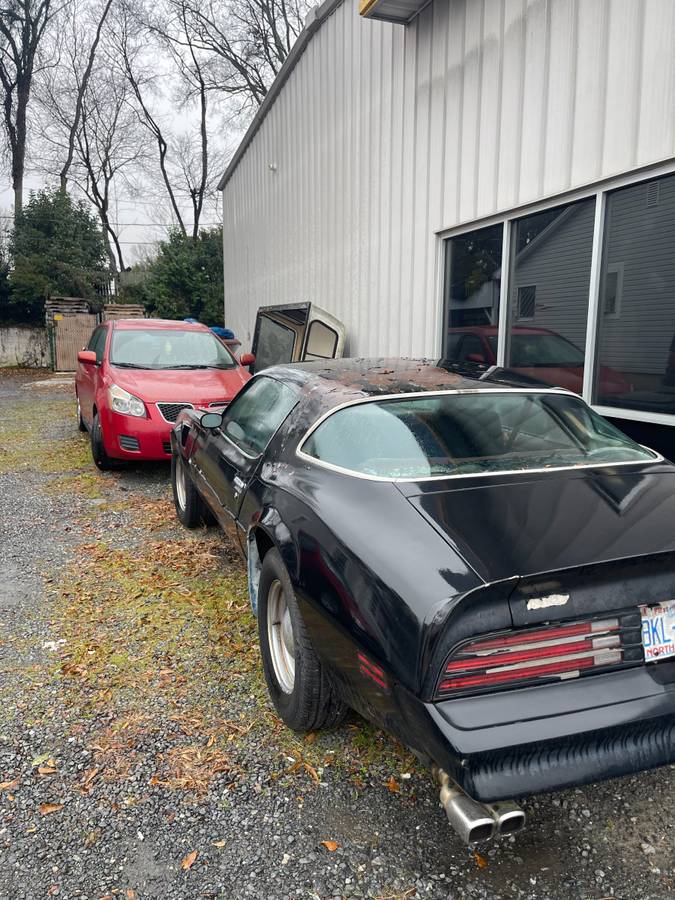 Pontiac-Firebird-trans-am-1977-1