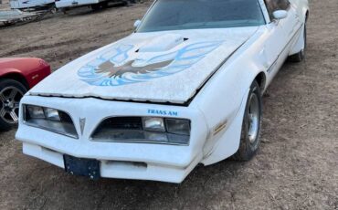 Pontiac-Firebird-trans-am-1977-1