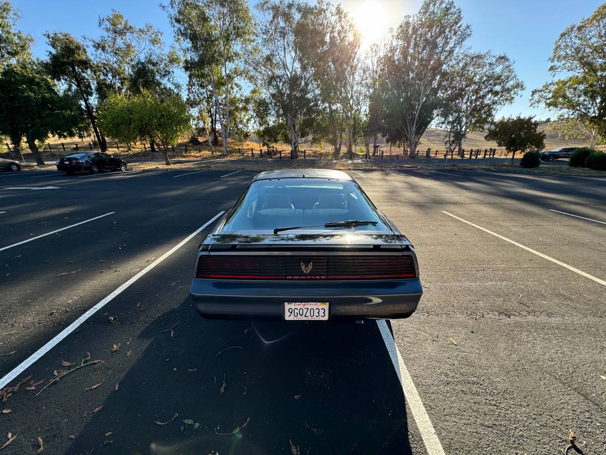 Pontiac-Firebird-trans-am-1983-1