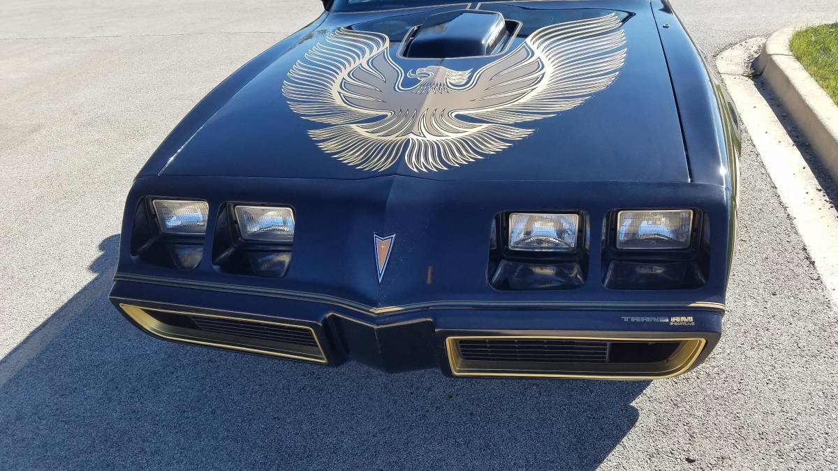 Pontiac-Firebird-transam-1981-16