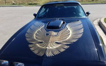 Pontiac-Firebird-transam-1981-17