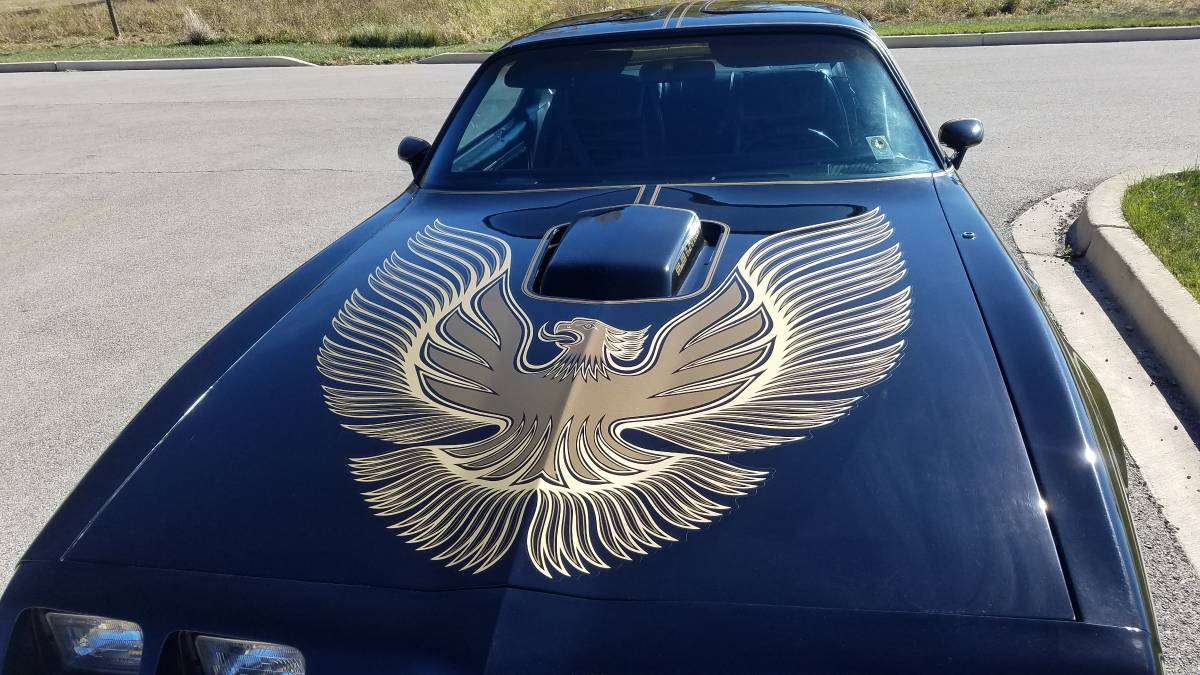 Pontiac-Firebird-transam-1981-17