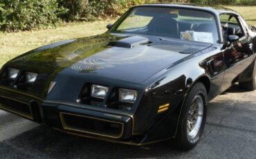 Pontiac-Firebird-transam-1981