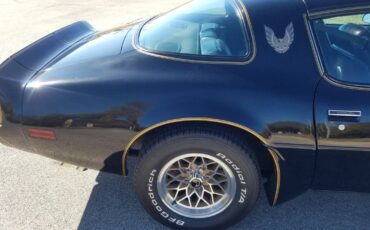 Pontiac-Firebird-transam-1981-6