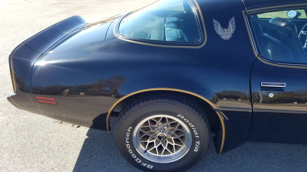 Pontiac-Firebird-transam-1981-6