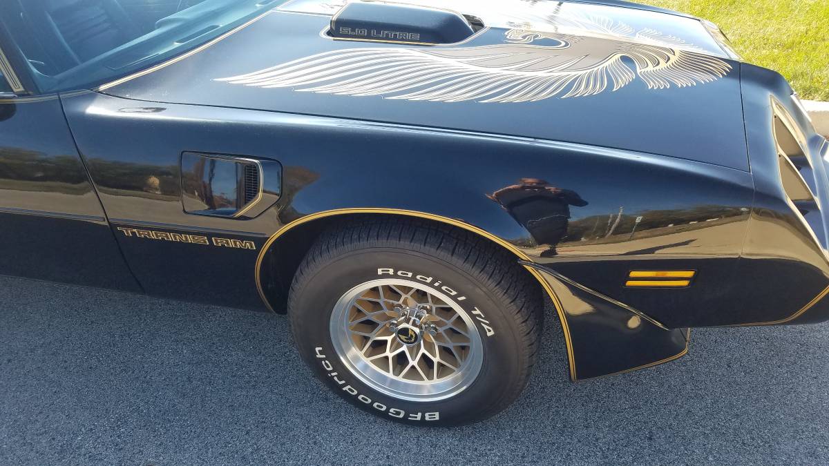 Pontiac-Firebird-transam-1981-8