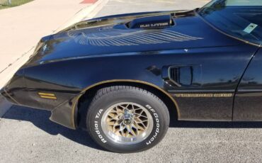 Pontiac-Firebird-transam-1981-9