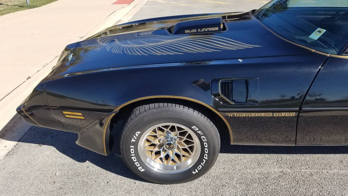 Pontiac-Firebird-transam-1981-9