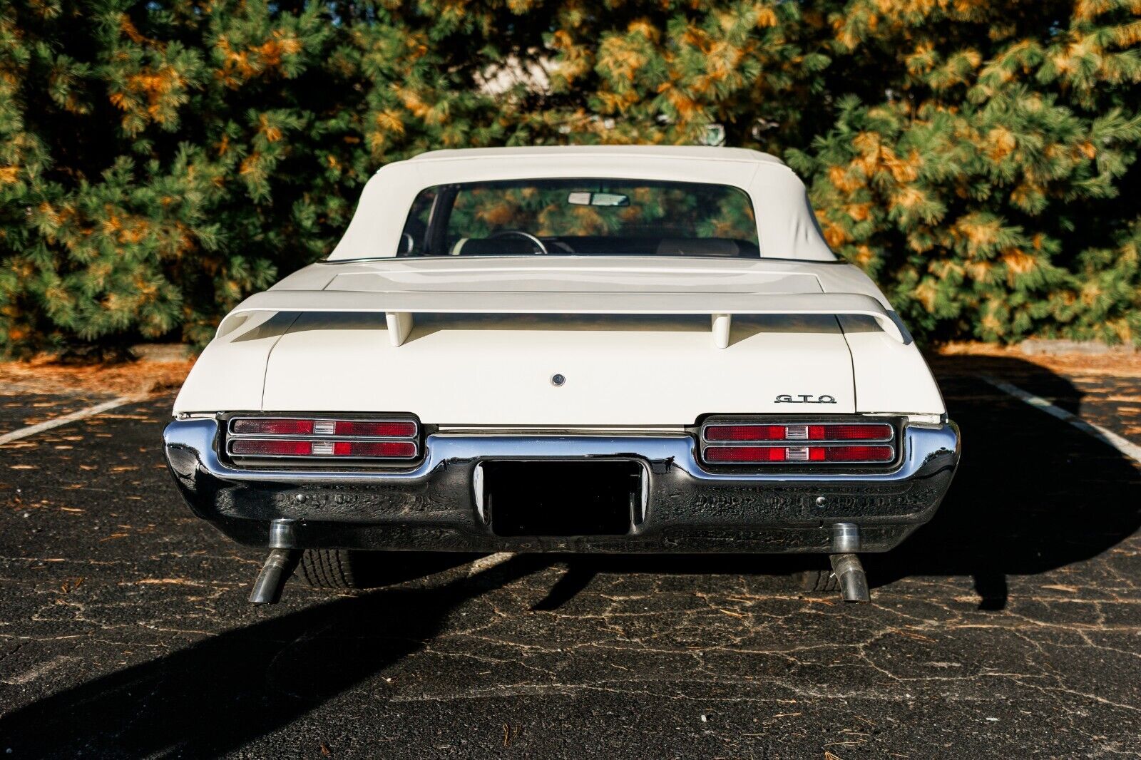 Pontiac-GTO-Cabriolet-1969-13