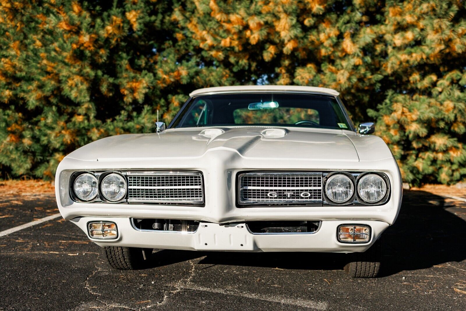 Pontiac-GTO-Cabriolet-1969-14