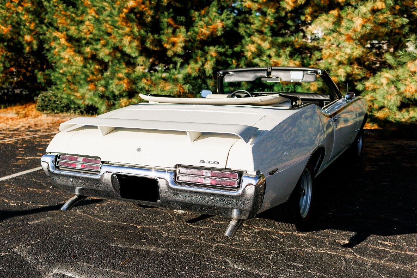 Pontiac-GTO-Cabriolet-1969-5