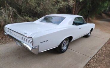 Pontiac-GTO-Coupe-1966-6